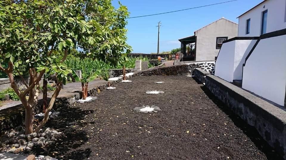 Azores Black Mountain House, Estudio E T2 Ilha Do Pico São Roque do Pico Exterior photo
